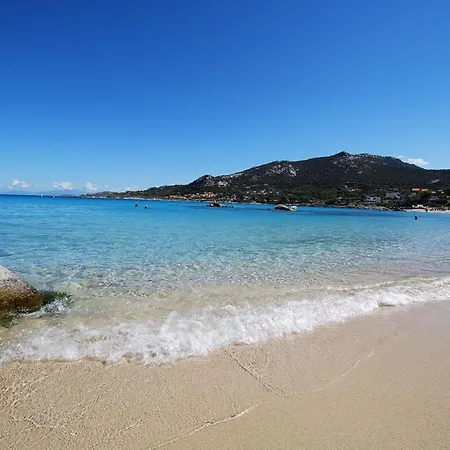 Avec Piscine Chauffée Et Vue Proche Centre Et De Villa Calvi (Corsica)