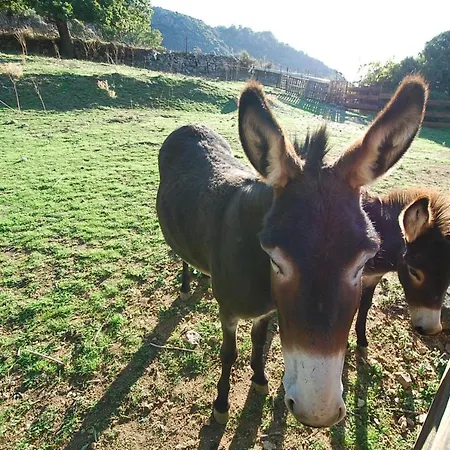 Casa Luna Piscine Chauffee Vue Proche Centre Et De * Кальви