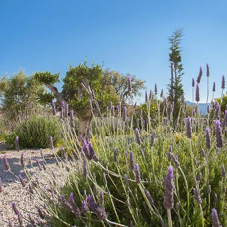 Casa Luna Piscine Chauffee Vue Proche Centre Et De