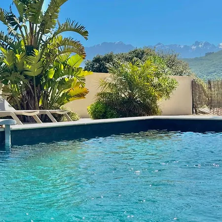 Avec Piscine Chauffée Et Vue Proche Centre Et De *