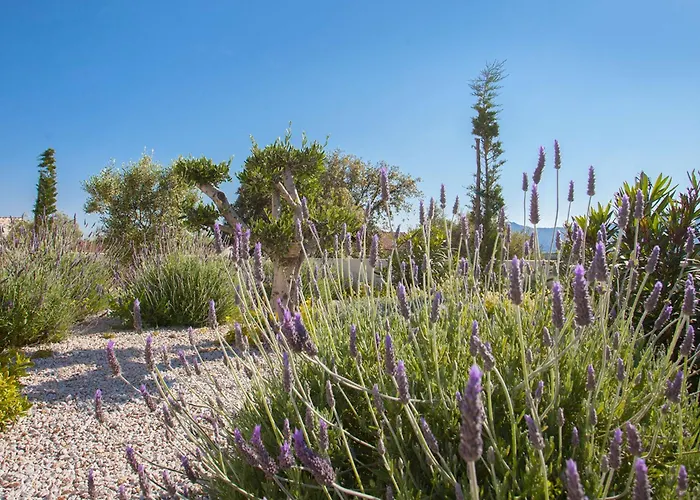 Villa Casa Luna Piscine Chauffee Vue Proche Centre Et De